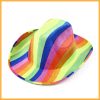Halloween 2Pcs Rainbow Printed Cowboy Hat